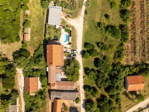 Villa Dandelion ZadarVillas