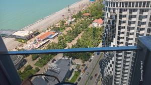 Sea Star 2