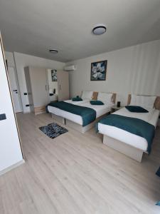 Sunny Family Vila Constanta