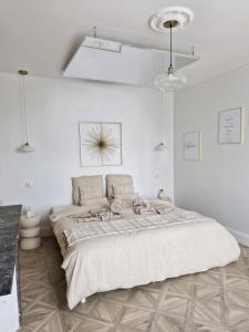 Appartements L-audacieuse-Jacuzzi et sauna , miroir suspendu : photos des chambres