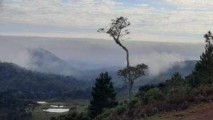 Beautiful Cabin in the Serra Catarinense