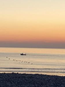 Maisons de vacances Quiet house, Cayeux-sur-Mer, Baie de Somme : photos des chambres