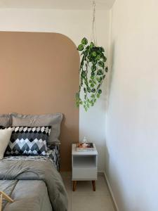 Casa completa e aconchegante em Pelotas