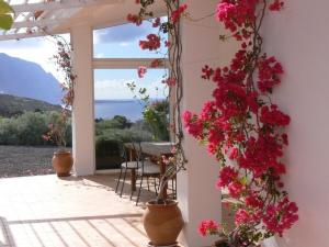 Ferienhaus Charco Azul