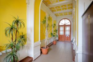 Sokol House New Town