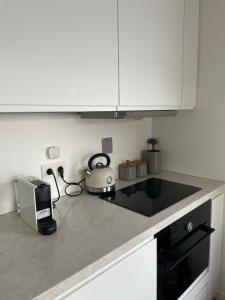 The Sustainable Saek Sneekermeer