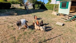 Les petites maisons dans la Monterie La Source