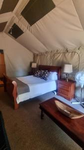 Harties Is Africa Safari Lodge