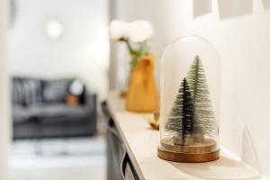 Le Saint Martin, bel appartement de standing