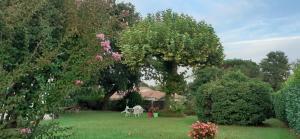 Maisons de vacances Maison abelia : photos des chambres