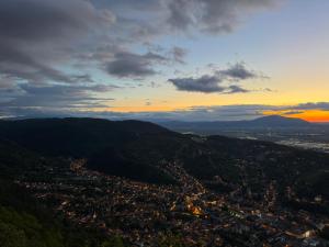 Cozy Tampa Retreat - Ultra-central