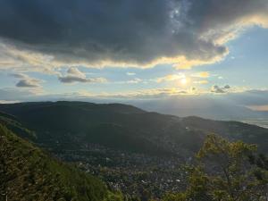 Cozy Tampa Retreat - Ultra-central