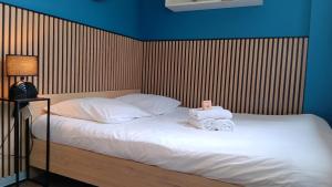 Appartements Studio 73 Renove et Equipe - Nancy CHRU,CESI,FAC : photos des chambres