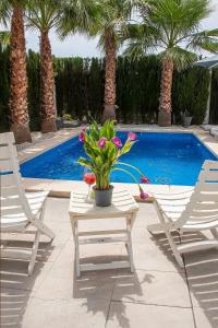 Modern villa with a private pool