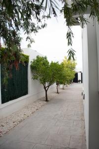 Modern villa with a private pool