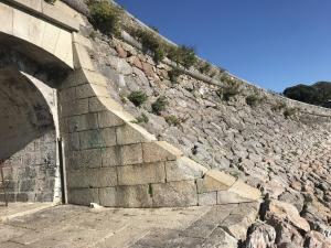 Trematon By Pureserviced