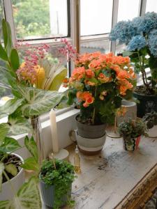 Charming 1BR with Terrace Praça das flores | By Airnest