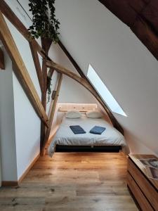 Appartements L-Hibou de la Cathedrale - Hyper Centre - Jardin - Wifi : Appartement 1 Chambre