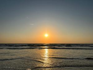 Apartments Excelsior Mamaia Nord