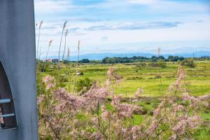 Appart'hotels Residence Hoteliere Natureva & Spa : photos des chambres
