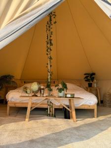 Glamping Royal - Zomergem