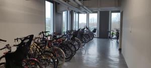 Appartements Le Rio, appartement avec terrasse & parking : photos des chambres
