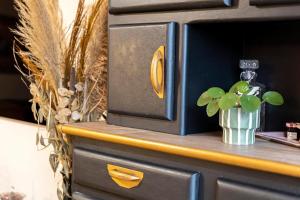 Appartements Le Saint Cyr - bel appartement, parking & terrasse : photos des chambres