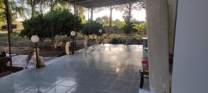 Among the trees and by the sea