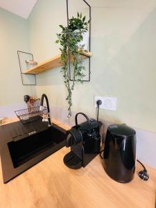 Appartements Studio L-Emeraude : photos des chambres