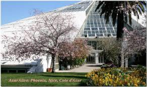 Nice Promenade des Anglais