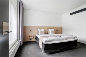 Junior Queen Suite room in Hotel Odense