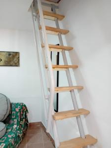 Mota saste mini duplex