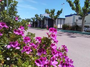 Camping y Bungalows Monmar