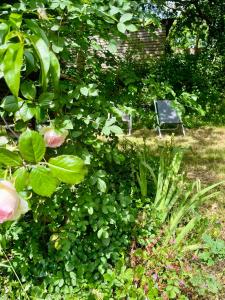 Maisons de vacances Le Logis de Bouchet : photos des chambres
