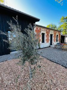 Maisons de vacances La Casa M : photos des chambres