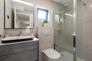 Apartment Olive Premium