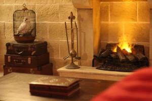 Appartements Le Cocon du Sorcier : photos des chambres
