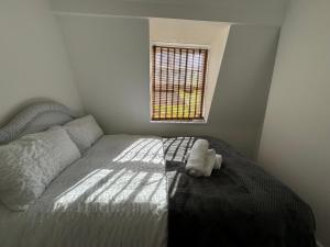 Warren Street Rooms