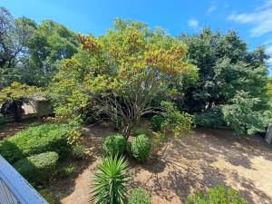 Les Lecques 2 room apartment with terrace and parking