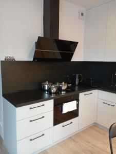 Apartament noclegi
