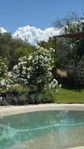 Villa con piscina vicino Roma