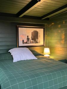 Villa con piscina vicino Roma