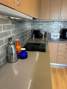 Altitude 5 Penthouse Elliniko