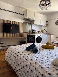 Charmant Appartement au Coeur de Bourges 24