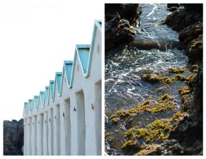 Il Nido di Montiano, giardino, natura e relax