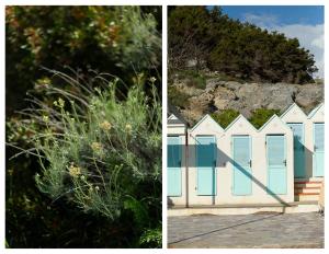 Il Nido di Montiano, giardino, natura e relax