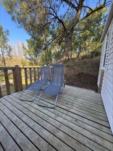 Au coeur de la pinède