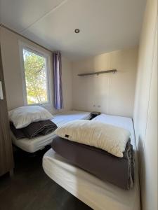 Au coeur de la pinède