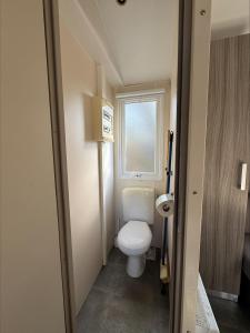 Au coeur de la pinède