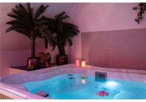 Maisons d'hotes NU-DE GITES ET SPA : photos des chambres